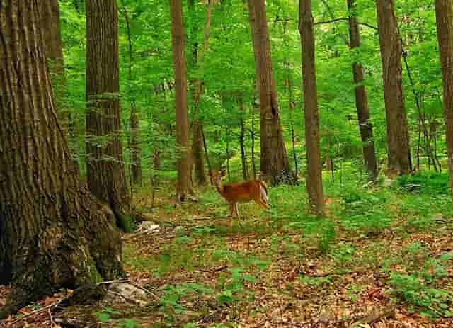2021年高考一批二批录取时间