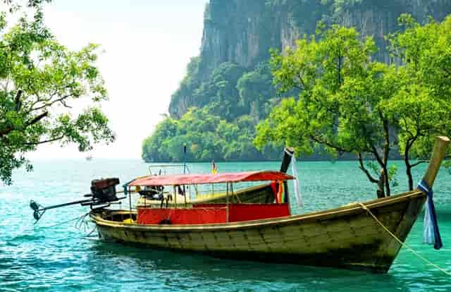 那个鱼粉丝汤图片