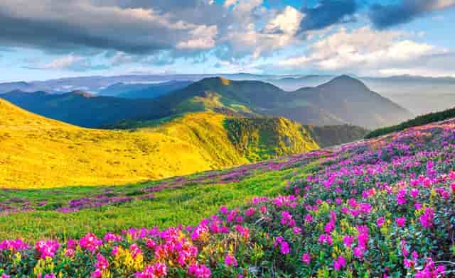 应届毕业生毕业前可以入职吗