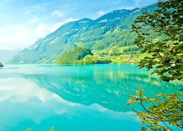 填报志愿一定要注意什么