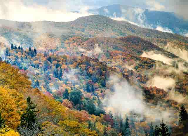 吴京全身缝针高达100多针