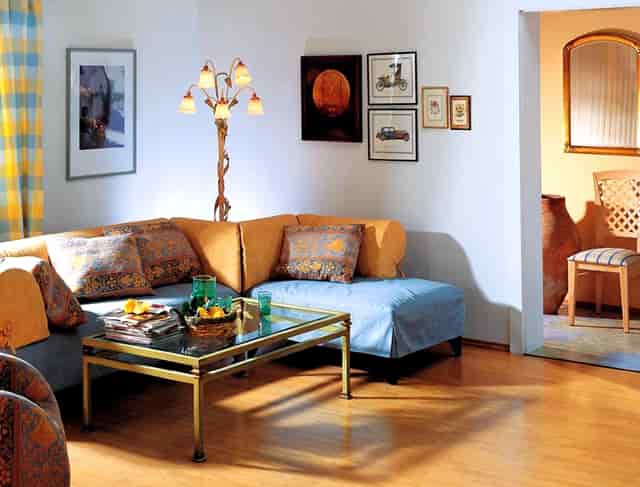 生肖马的人感情